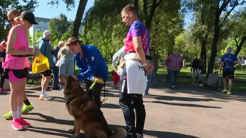 Владельцы с собаками на празднике в парке