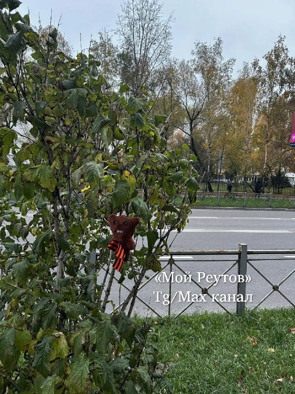В Реутове на улице висит потерянный предмет