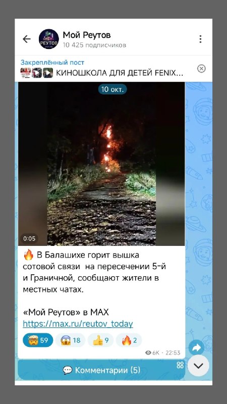 В Реутове задержана девушка, подожгшая вышку связи по звонку мошенников