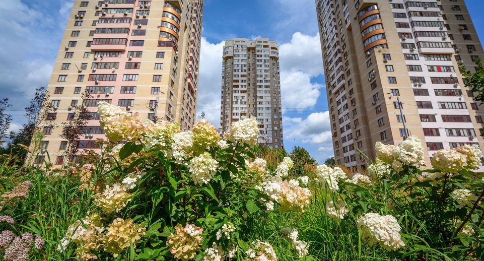 В Подмосковье похолодало: садоводам пора готовить растения к зиме