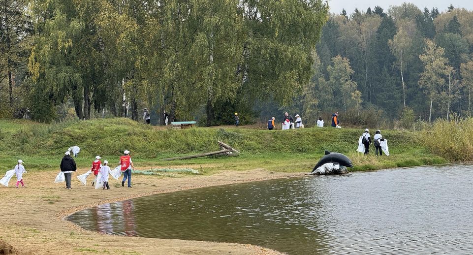 В Подмосковье провели 315 акций «Вода России» и расчистили 280 км берегов
