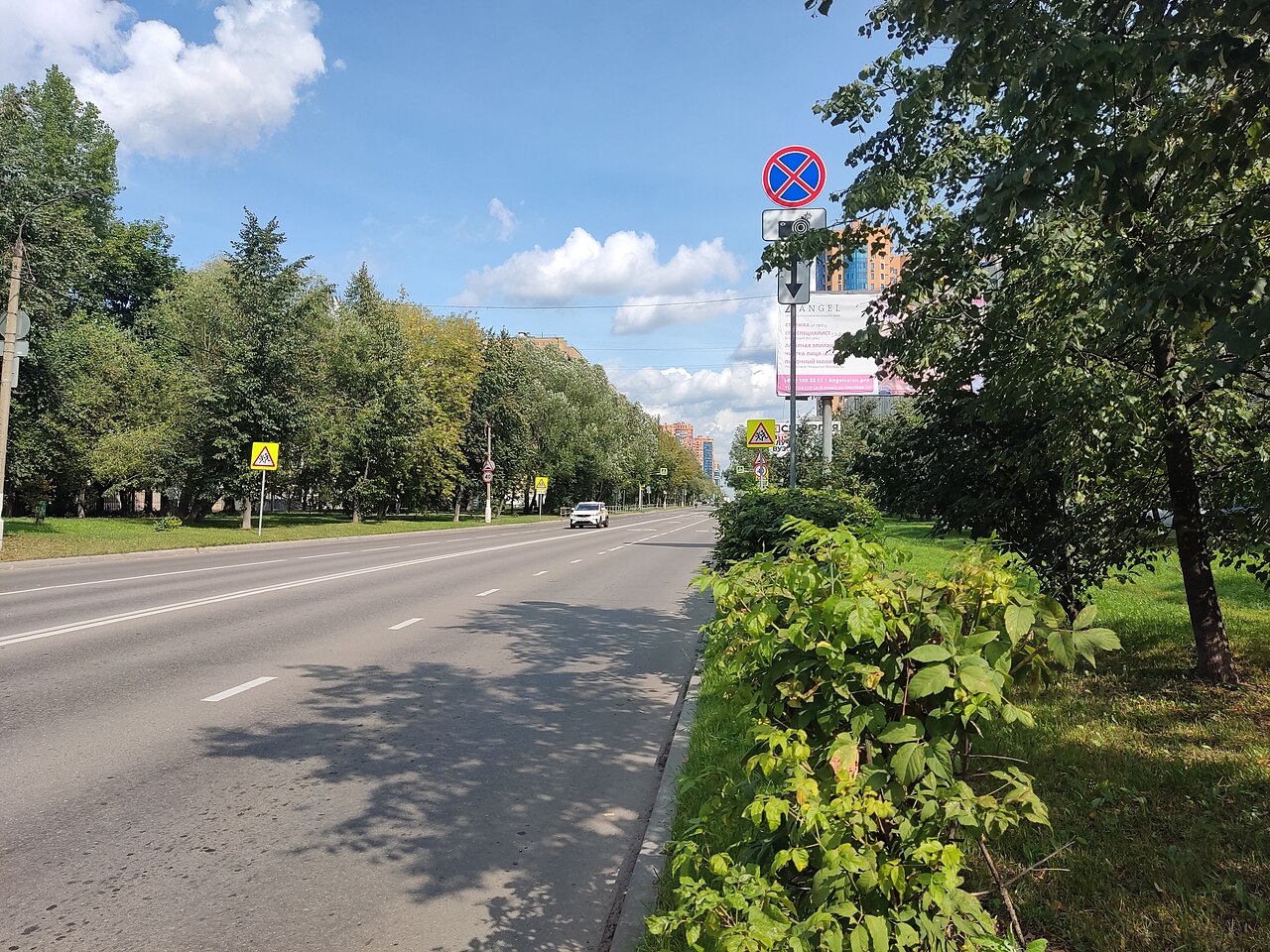 Улица Юбилейный проспект (Реутов)