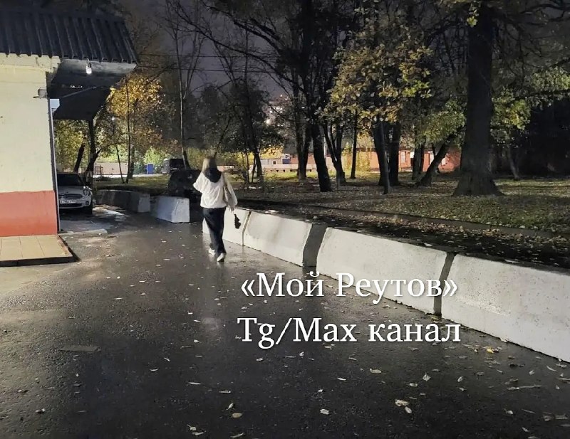 Жильцы Дзержинского заметили спил дубов и ограждение стройки
